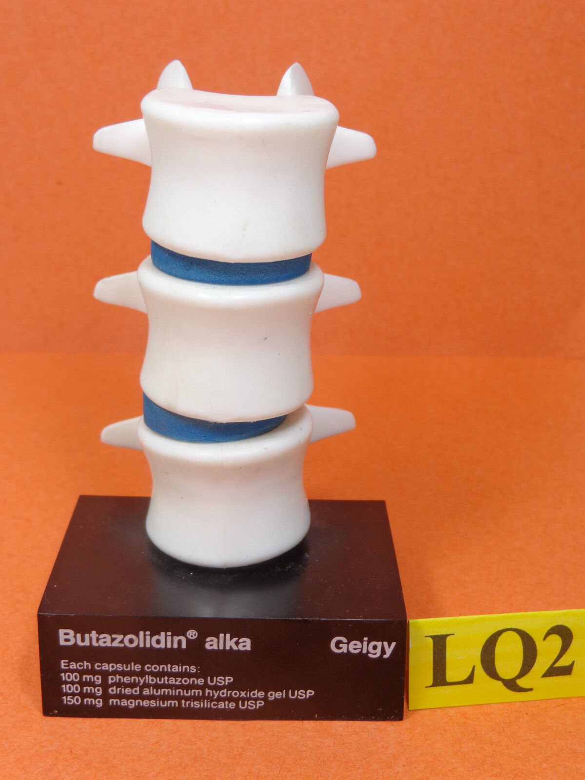 Vintage 3D Anatomical Model of the Human Spine-Disc Geigy Butazolidin Alka 