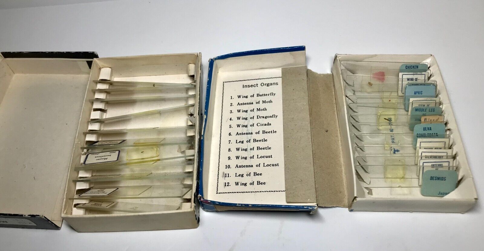 Vintage Assorted Prepared Microscope Slides
