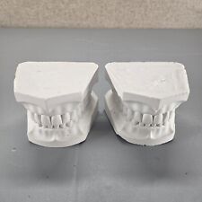 Vintage Columbia Dentoform Corp NOS Stone Dental Casts 32 Teeth Correct Anatomy picture